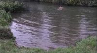 Run Club Goes For A Swim by Main root channel